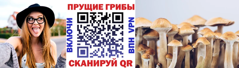 Галлюциногенные грибы Magic Shrooms  где найти наркотики  Коркино 